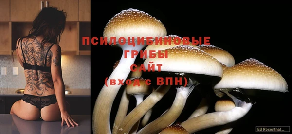 альфа пвп Ладушкин