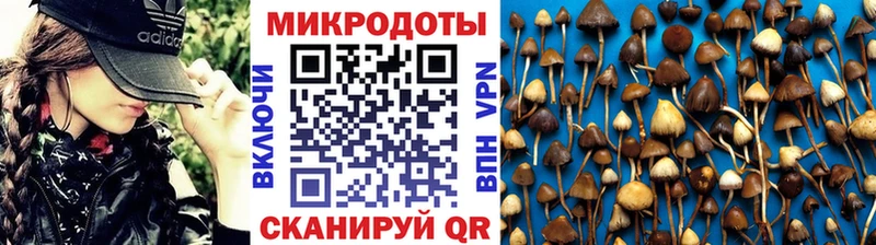 Галлюциногенные грибы Psilocybe  магазин  наркотиков  Новая Усмань 